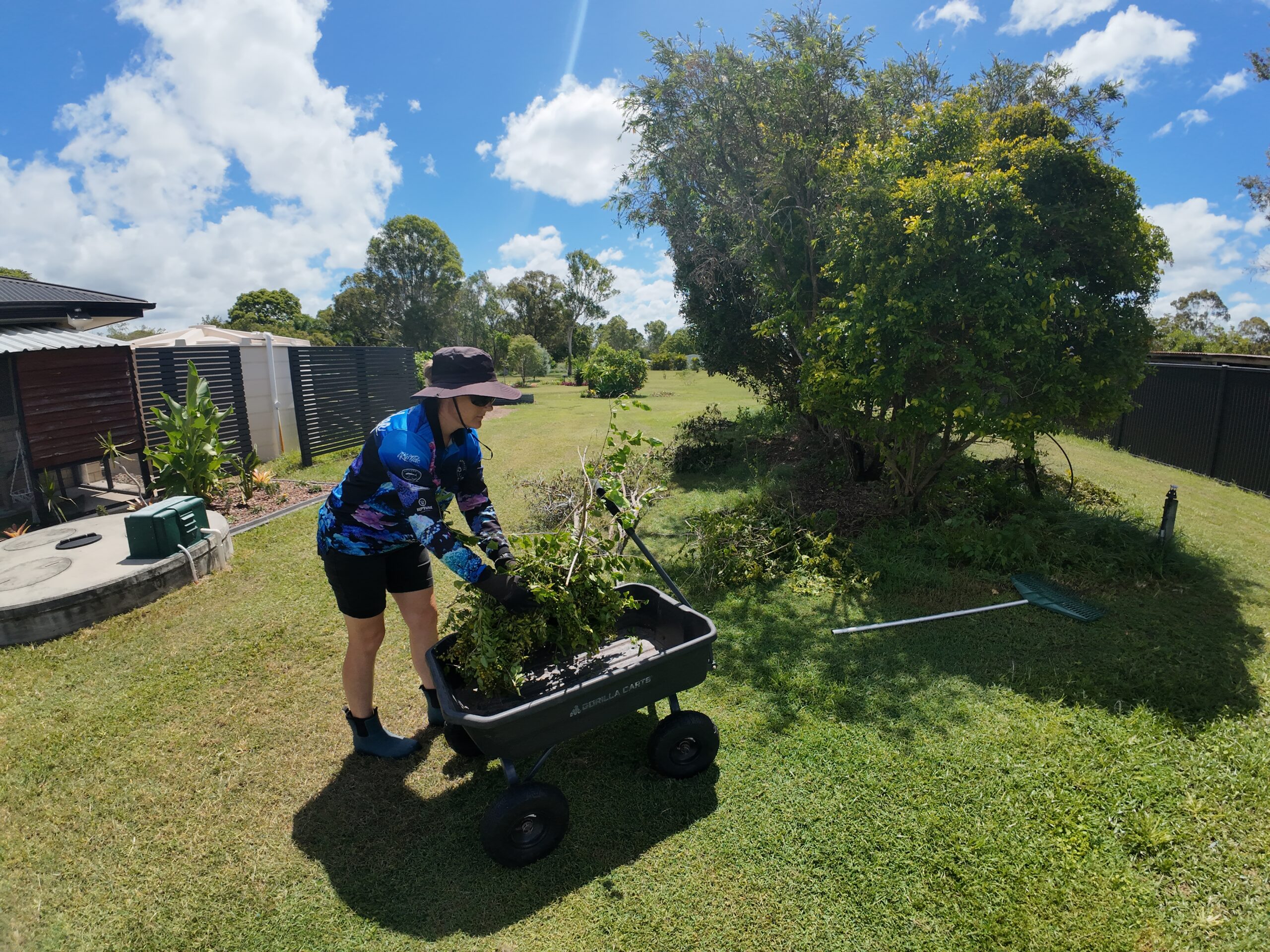 Slow garden clean-up day in a Queensland backyard garden